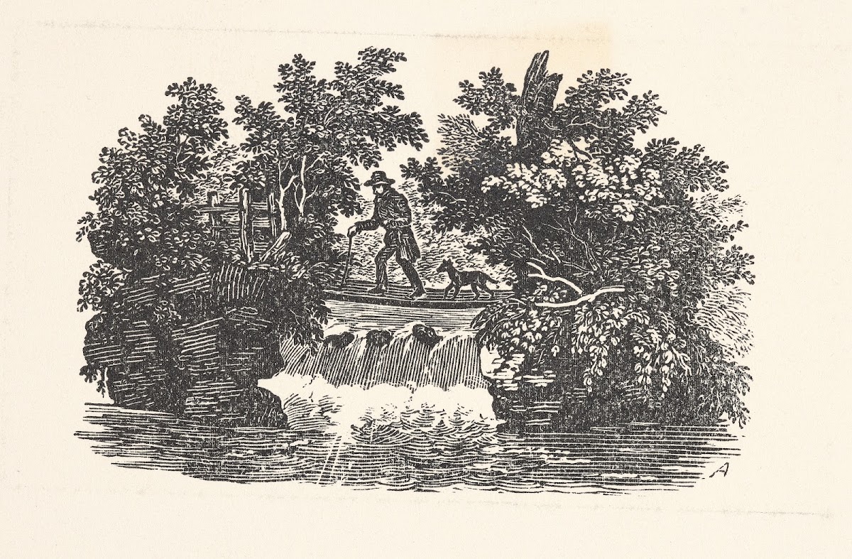 Man And Dog Near Waterfall