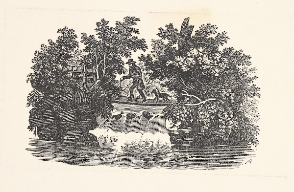 Man And Dog Near Waterfall