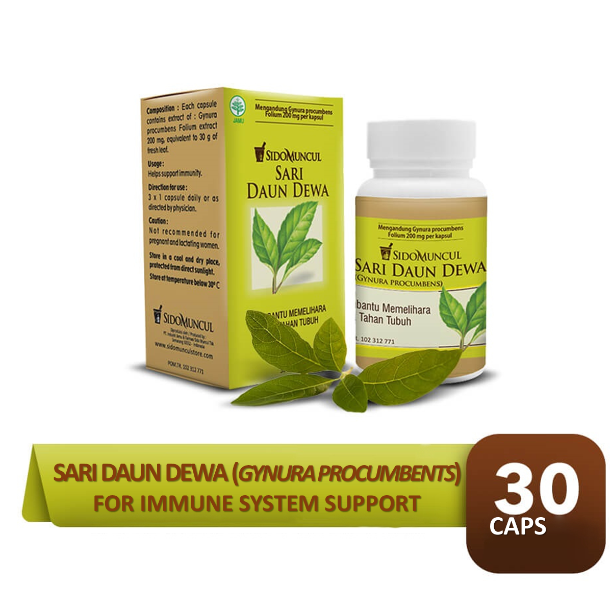 SIDOMUNCUL Daun Dewa Gynura Procumbens Extract For Immune System Support 30 Caps