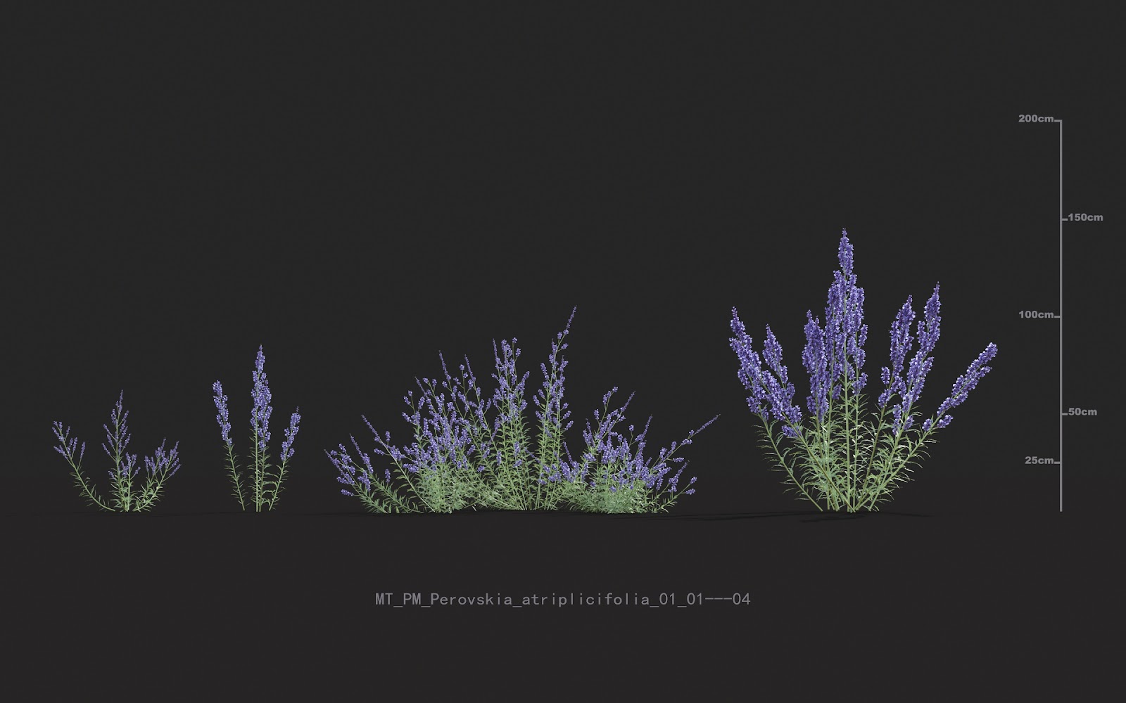 Maxtree - Plant Models Vol.20