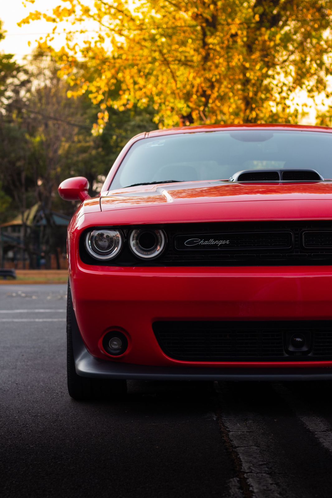 Dodge Challenger · PPF 4