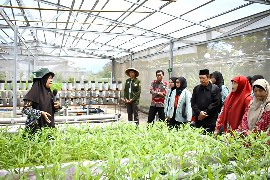 Integrated Farming
