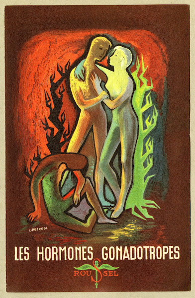 Les hormones gonadotropes 1910 1950