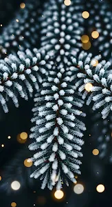 Frosted Pine Tree Branch with Golden Bokeh Lights