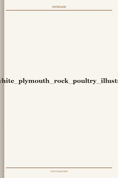 barred and white plymouth rock poultry illustrated-1893