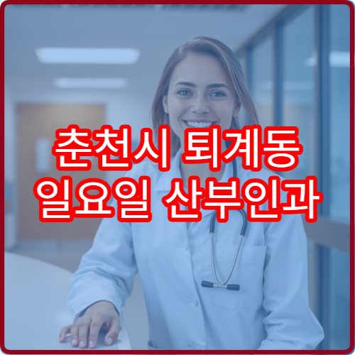 춘천시 퇴계동 일요일 산부인과 진료 정보 확인