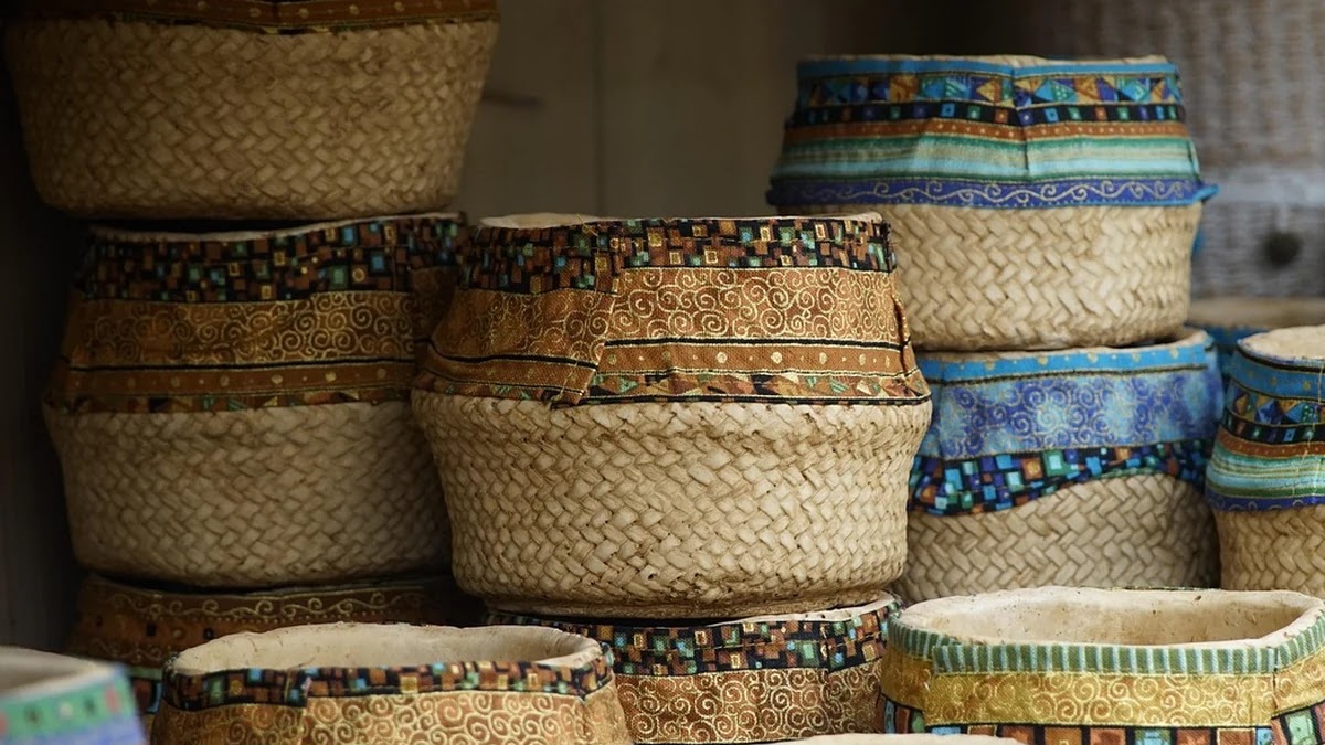 인류 부족 사회에서 권력 구조의 다양성과 기원