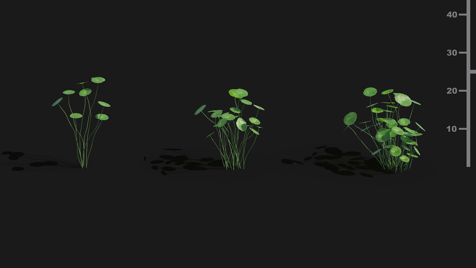 Maxtree - Plant Models Vol.29
