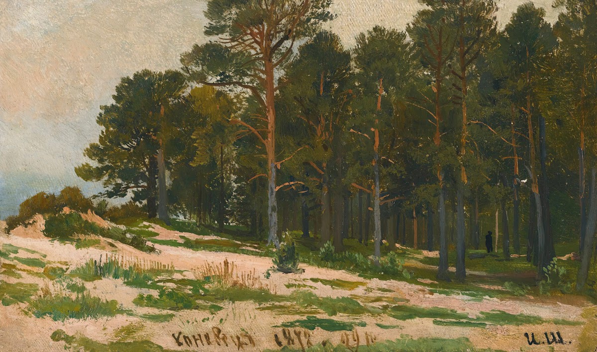 Pine Forest 1872