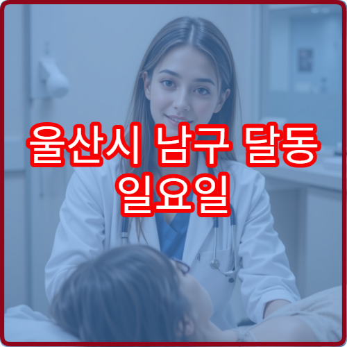 울산시 남구 달동 일요일 정형외과 진료 가능한 병원 근골격계 치료 안내