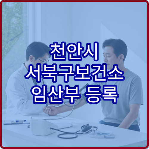 천안시 서북구보건소 임산부 등록 혜택 철분제 엽산 지원 안내