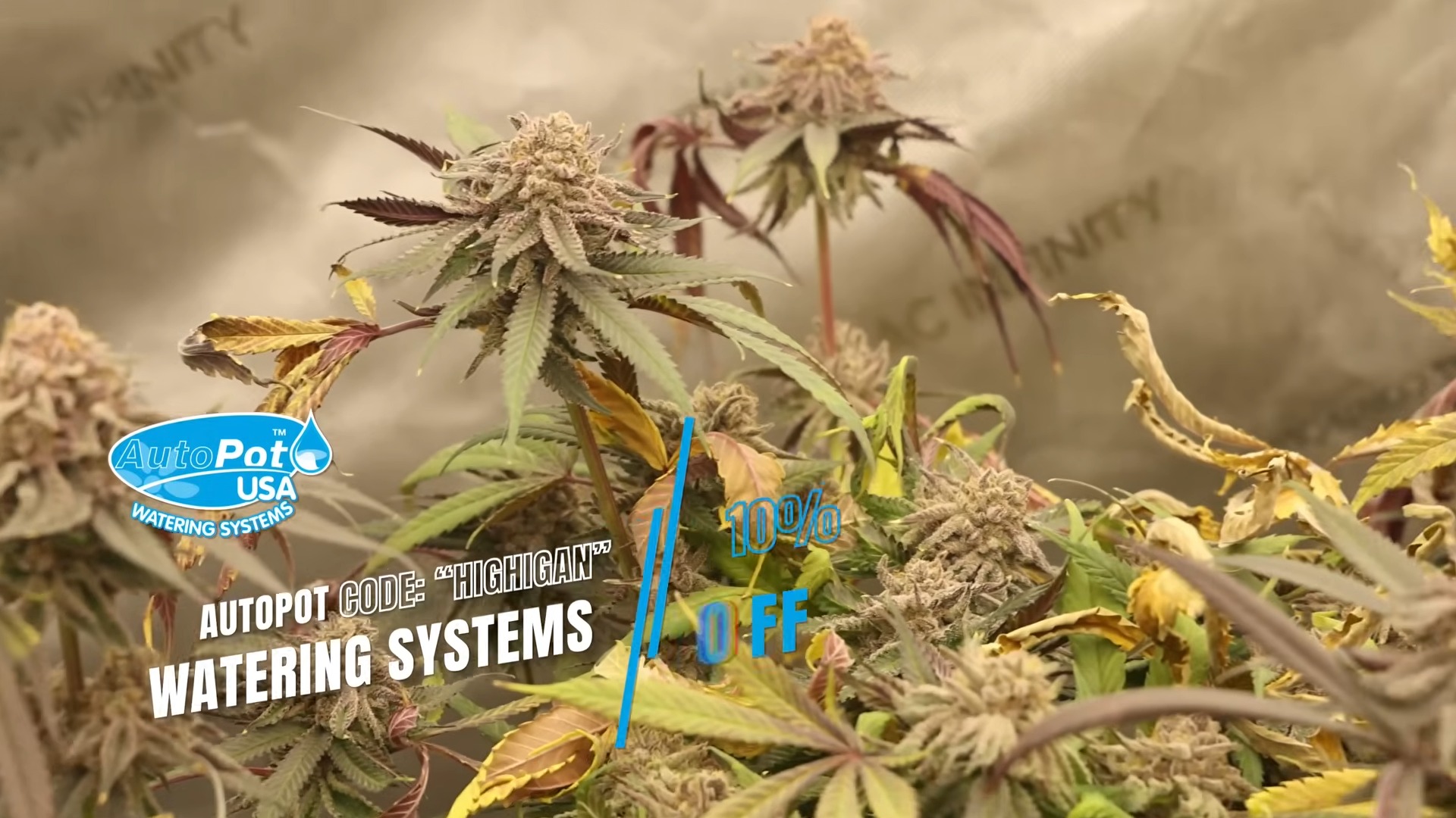 Emoji plants growing with AutoPot watering system and AC Infinity equipment