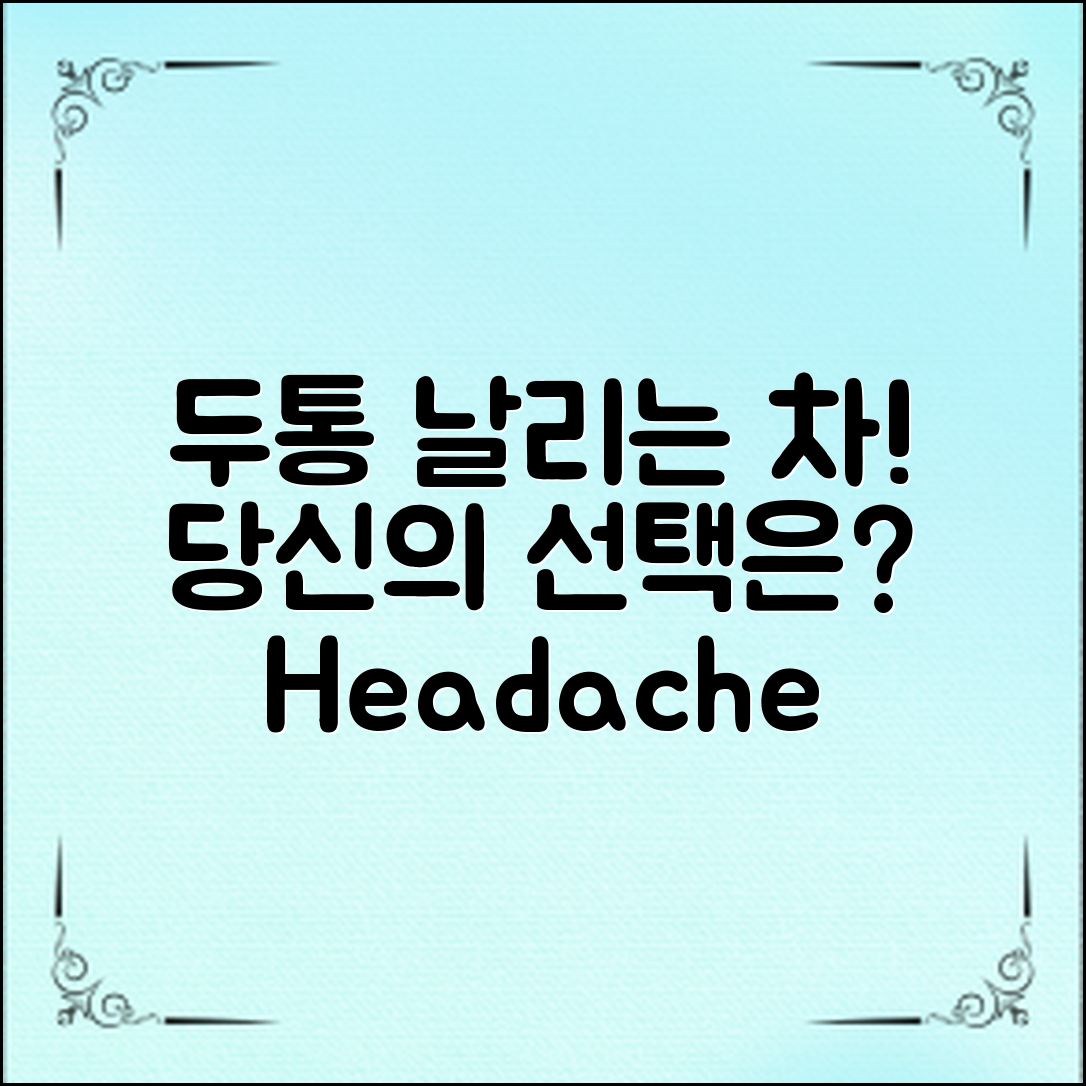 두통을 날리는 차, 당신은 어떤 것을 선택하실 건가요?