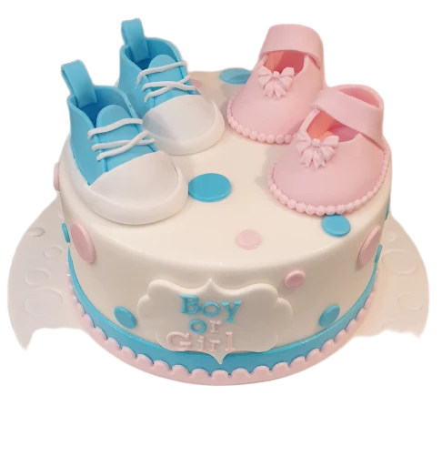 Baby Shower Cake CB-NC401