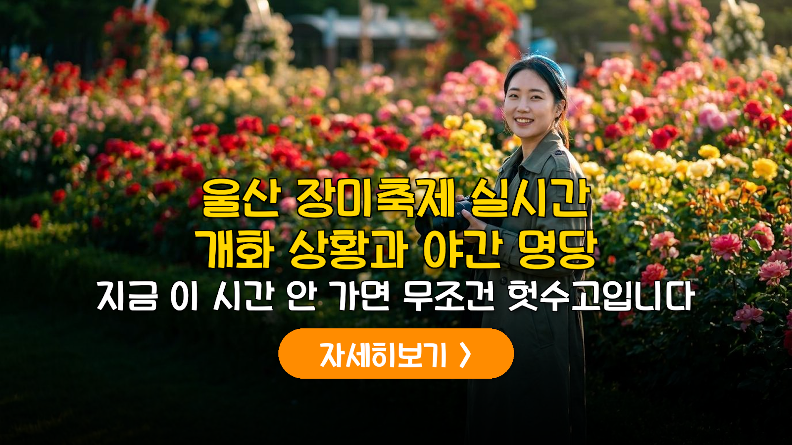 2026 울산대공원 장미축제 개화·주차·비용 완벽 분석