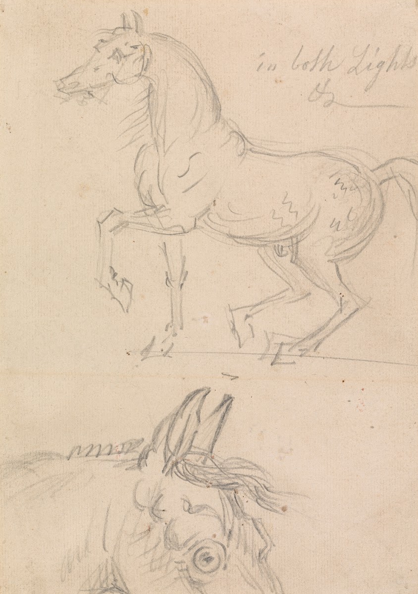 Horse Walking to Left