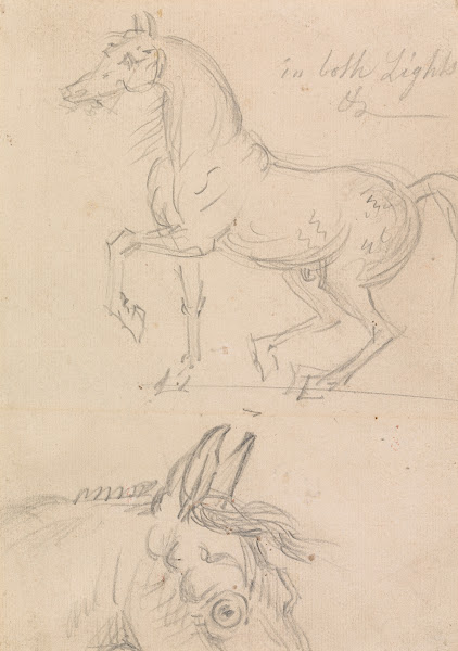 Horse Walking to Left