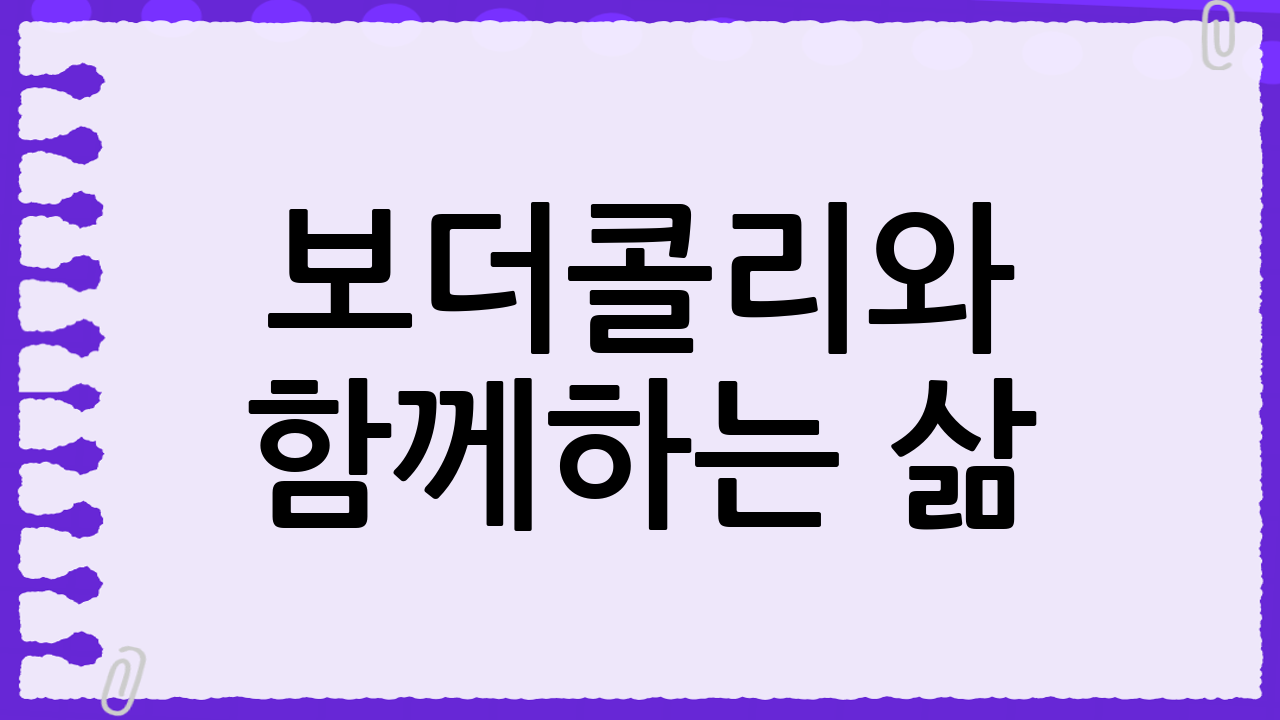 보더콜리와 함께하는 삶: 책임감 있는 반려인의 자세