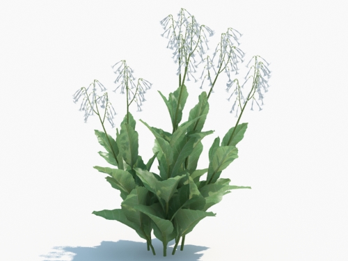 Maxtree - Plant Models Vol.3