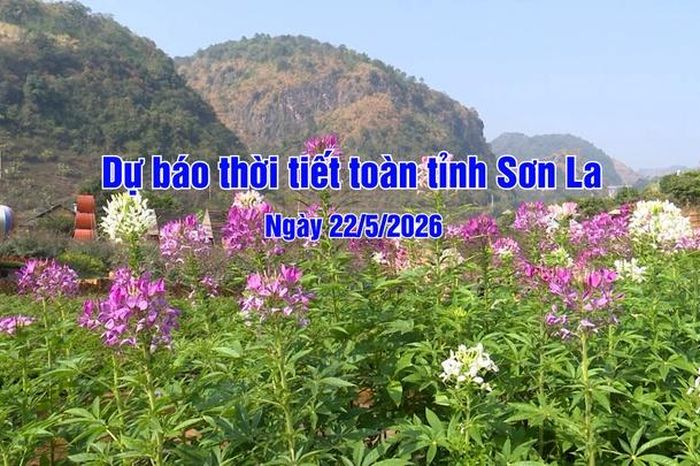 Dự báo thời tiết toàn tỉnh Sơn La ngày 22/5/2026 - Báo Sơn La