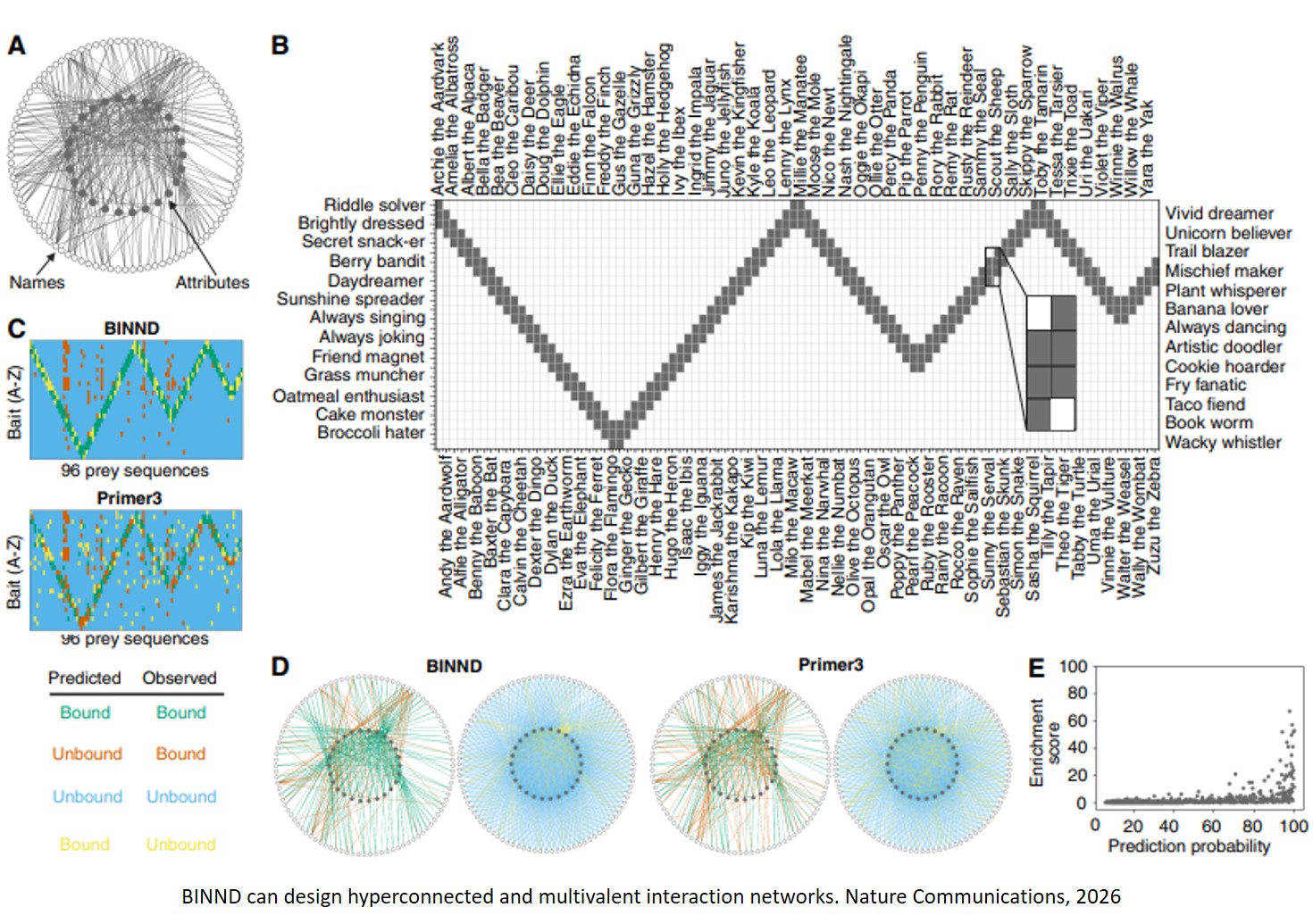 Deep Learning Predicts Dissimilar DNA-DNA Binding and Engineers Hyperconnected Networks