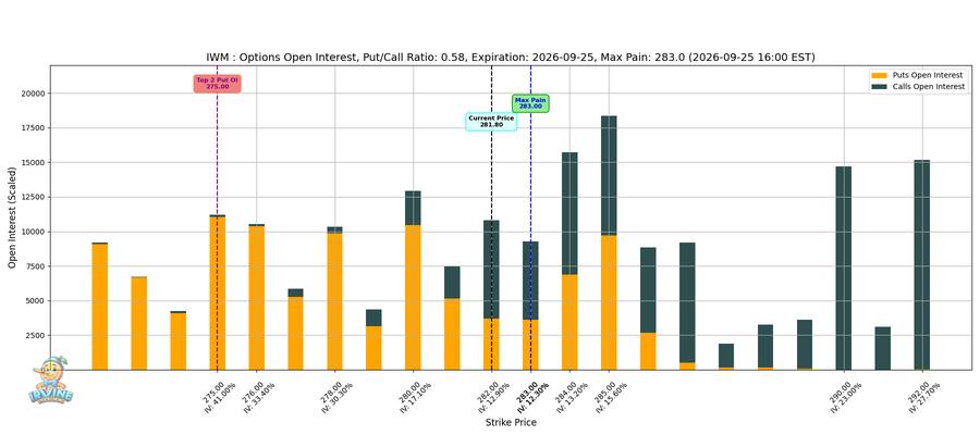 IWM Options