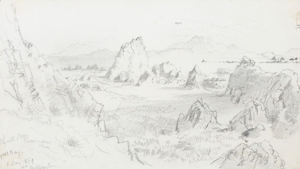 Lyall Bay near Wellington 1869