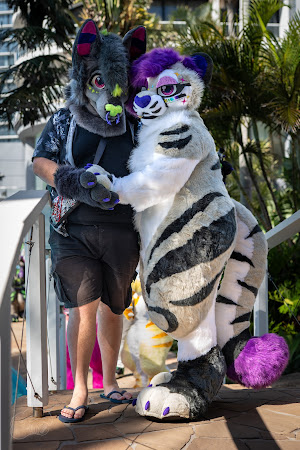 furdu-03836.jpg