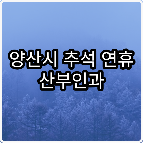 양산시 추석 연휴 산부인과 진료 병원 응급 진료 포함 정보