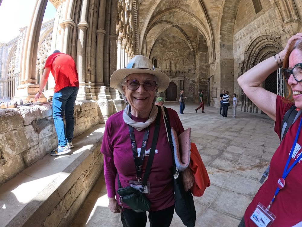 Turó de la Seu Vella