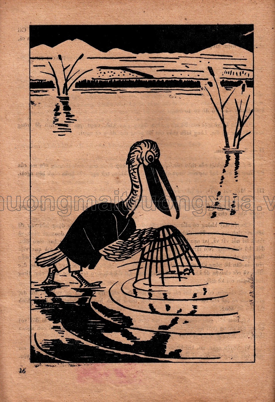 Kể chuyện 1  - Trang 238