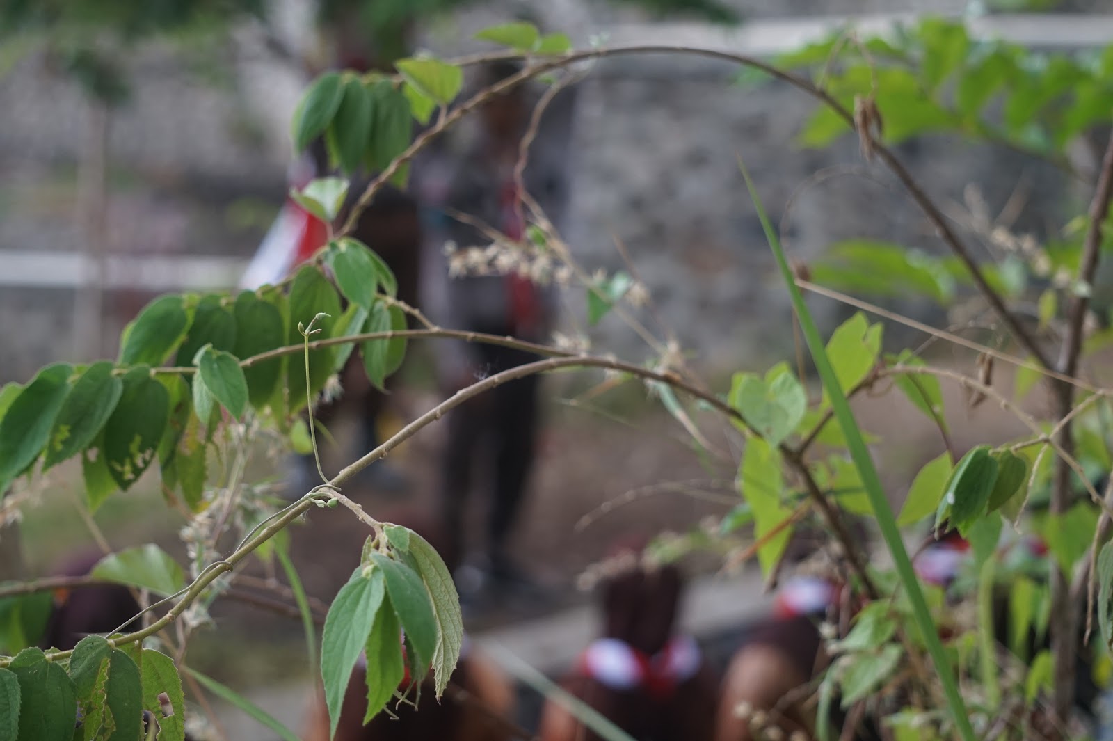 Foto Kegiatan