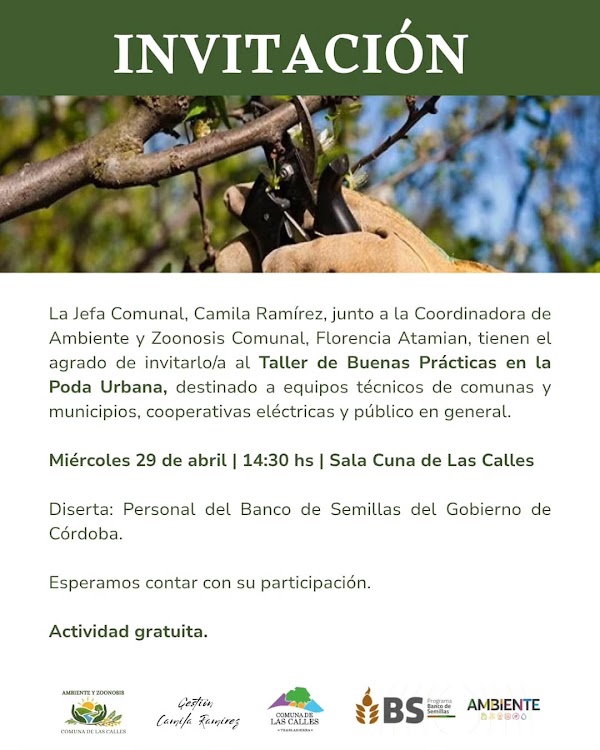 Taller de Buenas Prácticas en la Poda Urbana