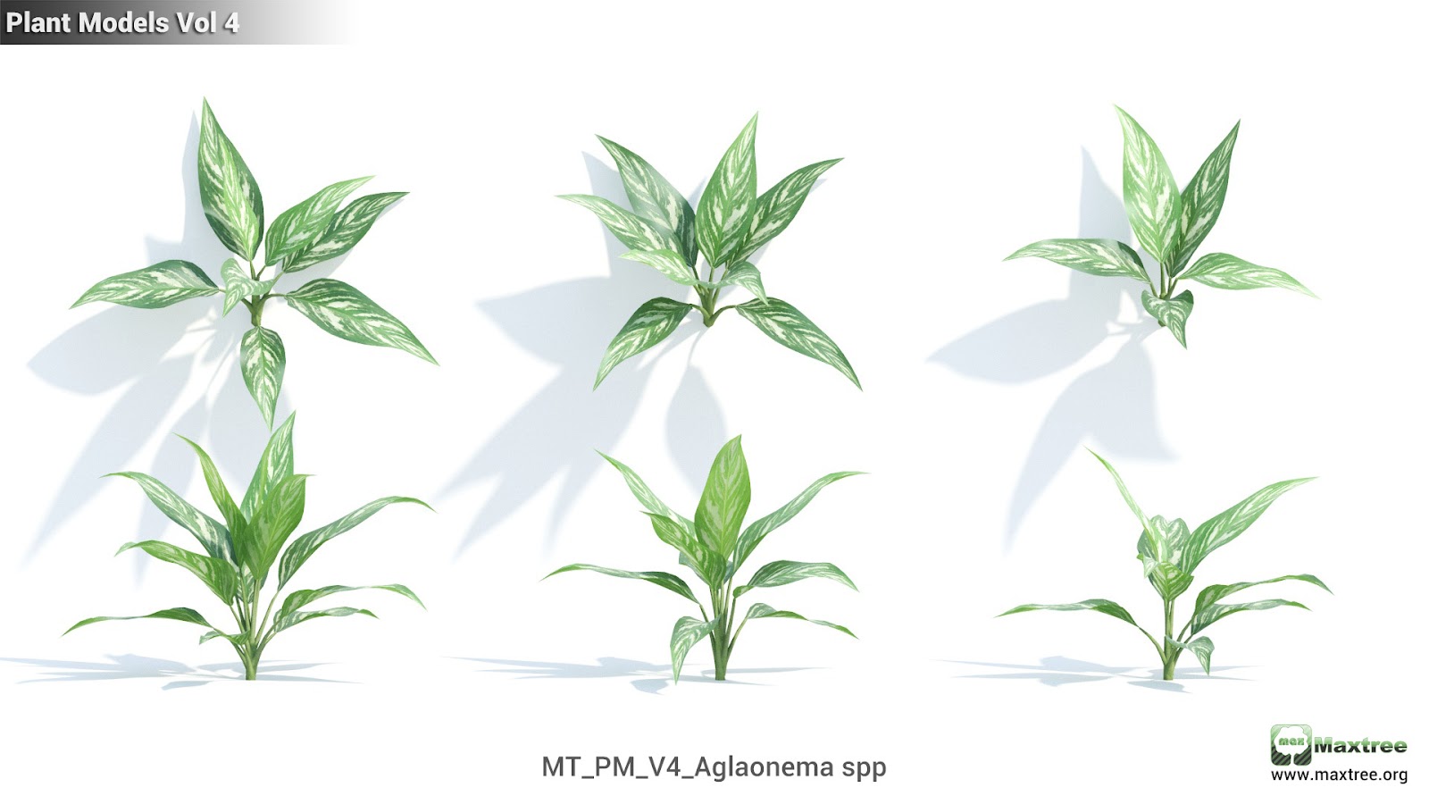 Maxtree - Plant Models Vol.4