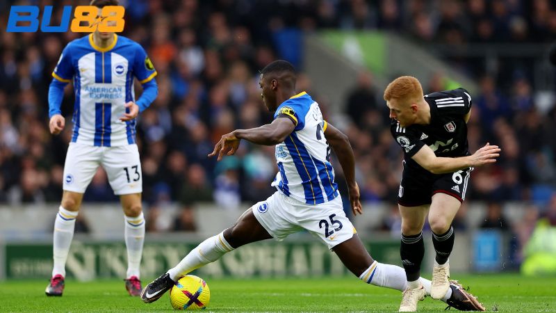 Dự đoán kết quả Fulham vs Brighton 22:00 ngày 24/01/2026