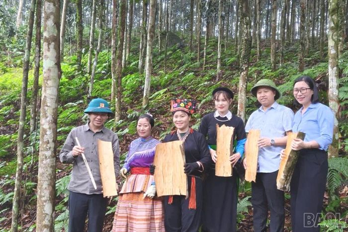 Lời mời gọi hấp dẫn từ nông nghiệp Lào Cai - Báo Lào Cai