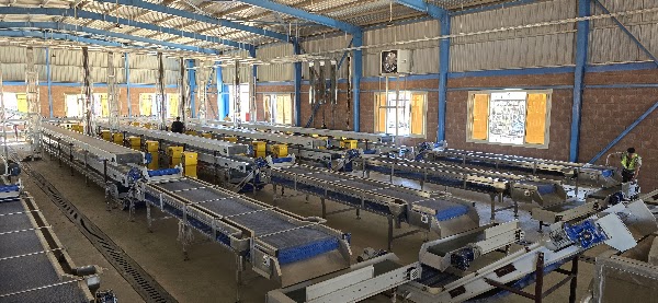 SANAM world-first automated sugarcane seedling factory for the Ministry of Agriculture