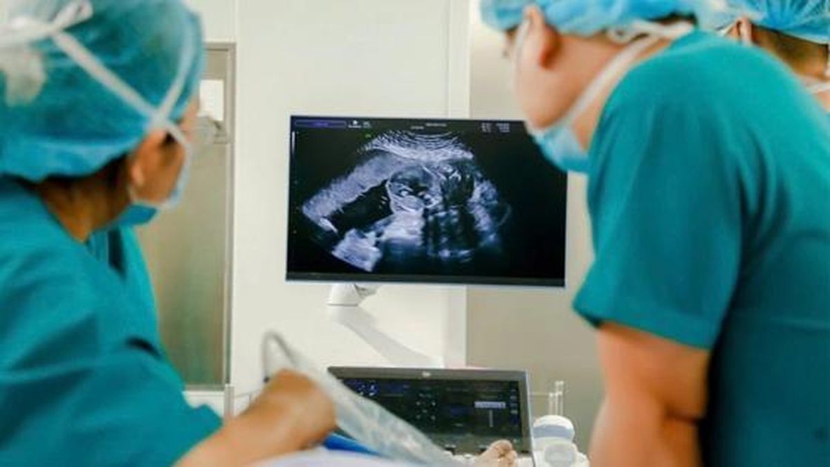 Y học bào thai được xác định là chuyên ngành mũi nhọn - Đài Phát thanh và truyền hình Hà Nội
