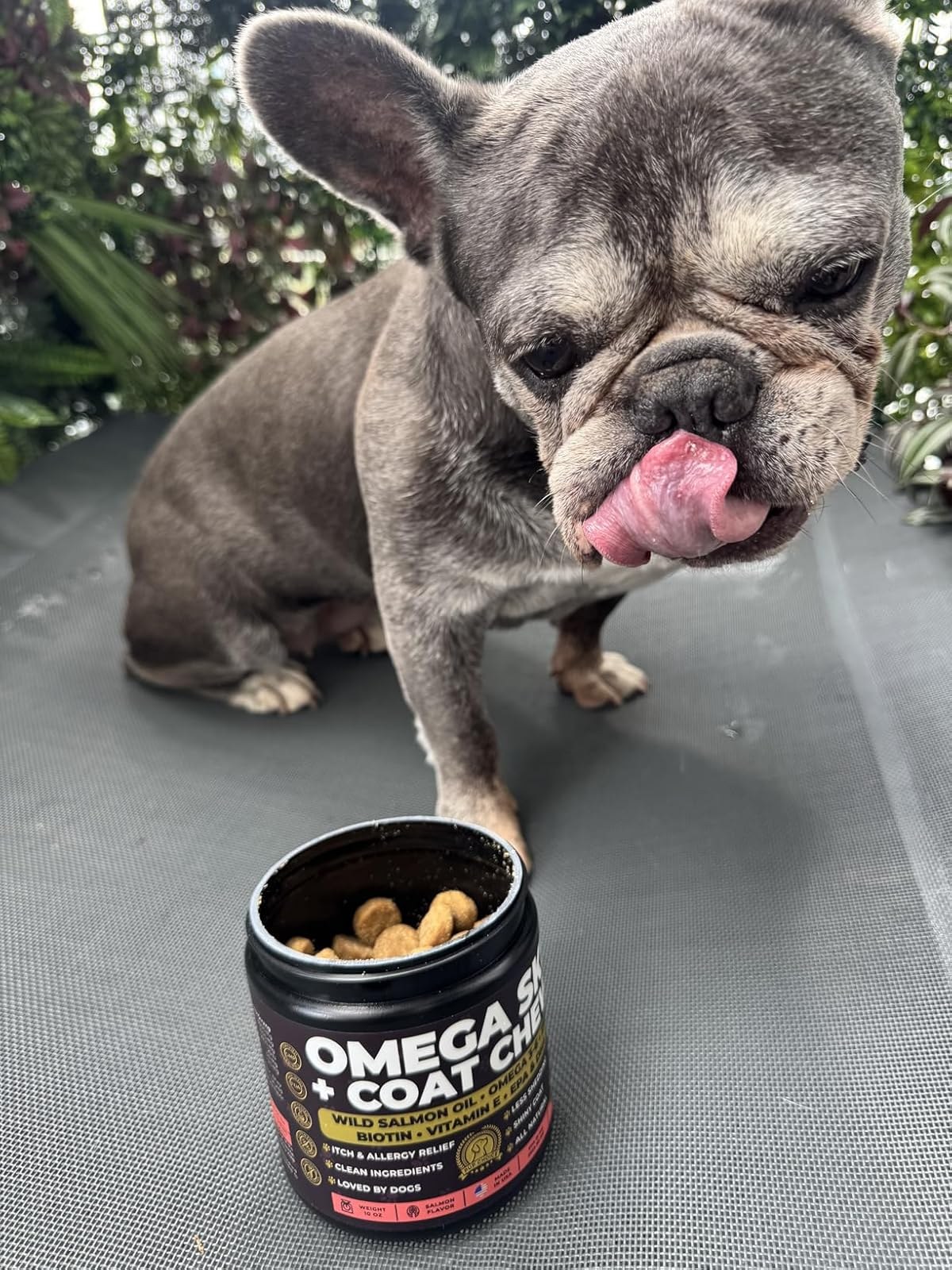 Pup Choice Omega 3 Skin & Coat review photo with dog and product