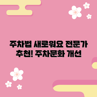 주차금지대, 주차 문화, 올바른 주차, 주차 규칙, 주차 문제 해결