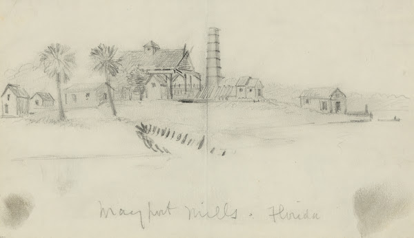 Mayport Mills Florida 1860 1865