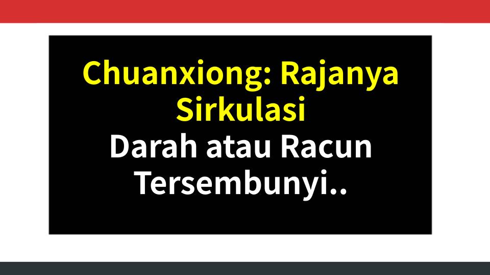 Chuanxiong: Rajanya Sirkulasi Darah atau Racun Tersembunyi? Fakta yang Gak Ada yang Bilang!