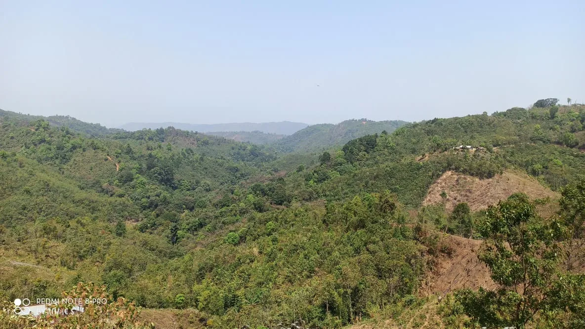 Nokrek National Park