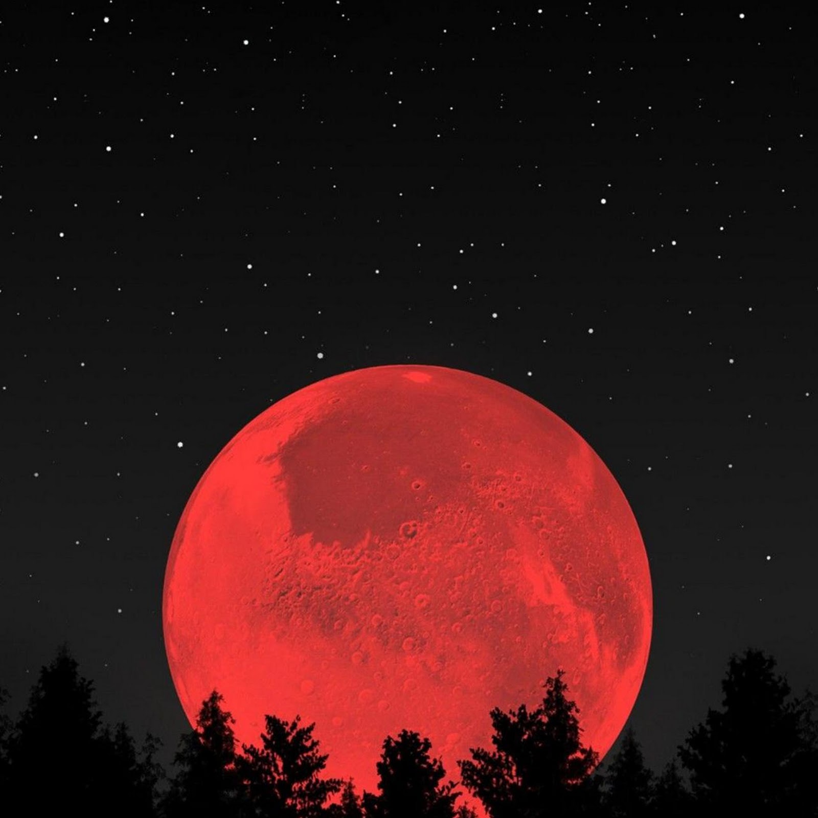 Download Giant Red Moon Over Forest Full HD iPhone