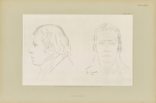 Drawings & Sketches