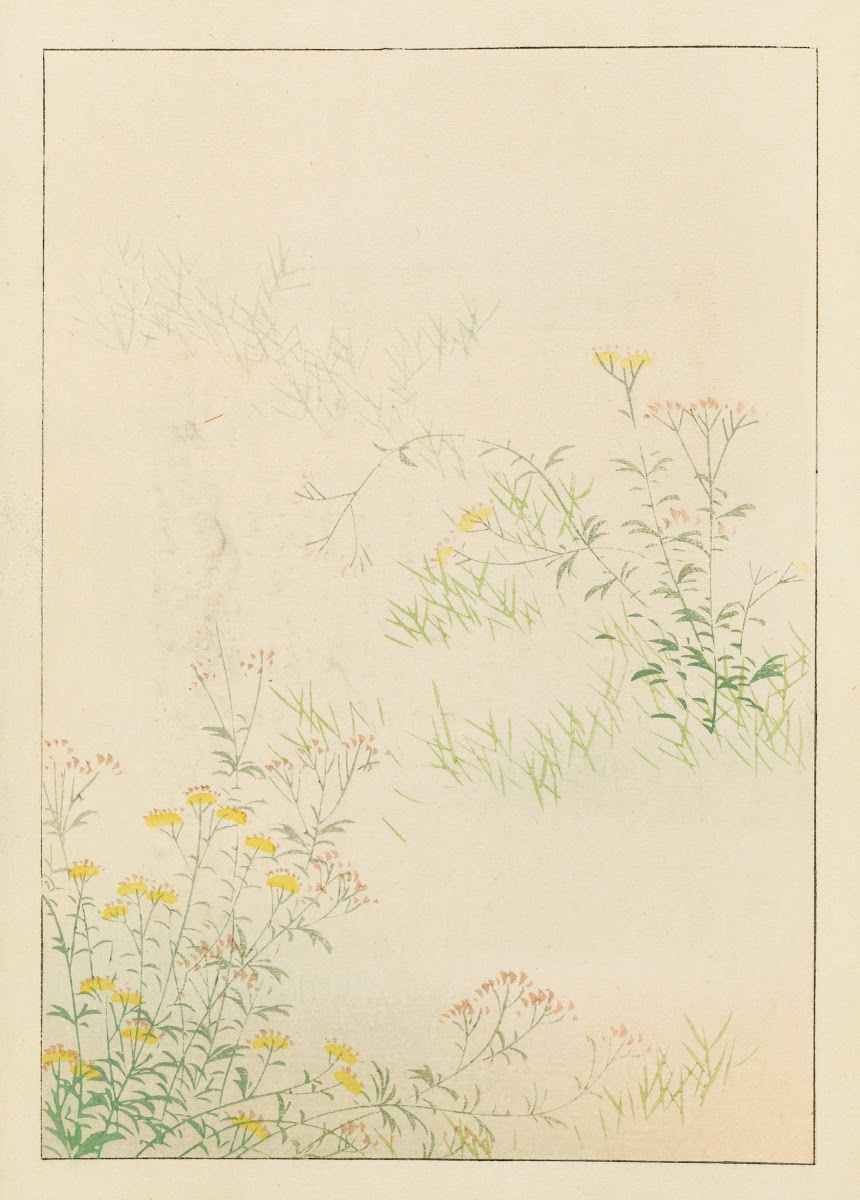 Shin Bijutsukai Pl285 1901 1902