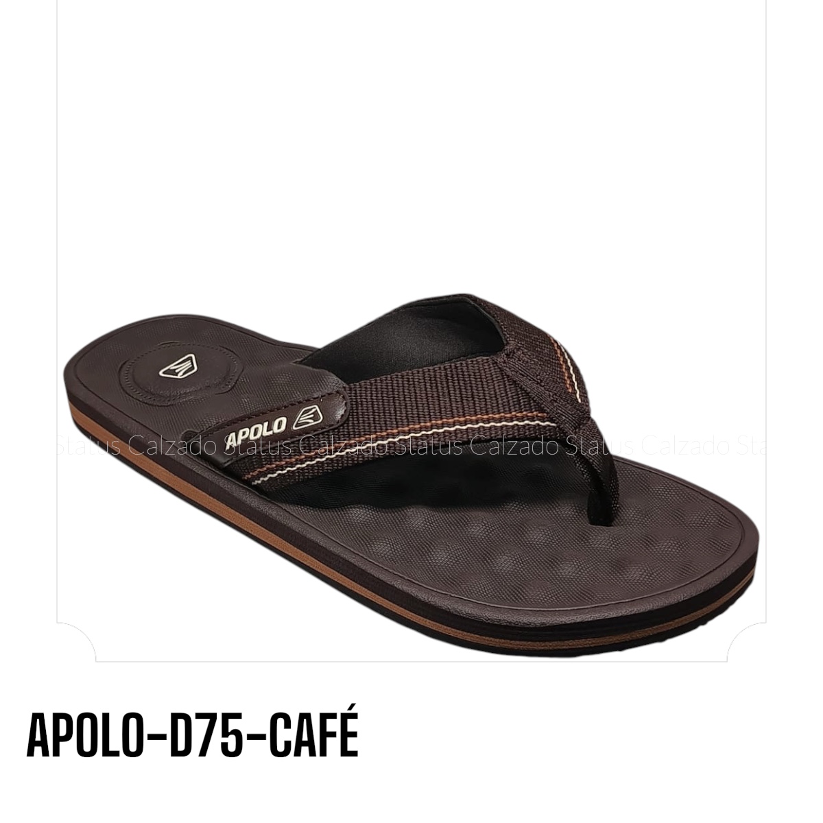 APOLO-D75-CAFÉ