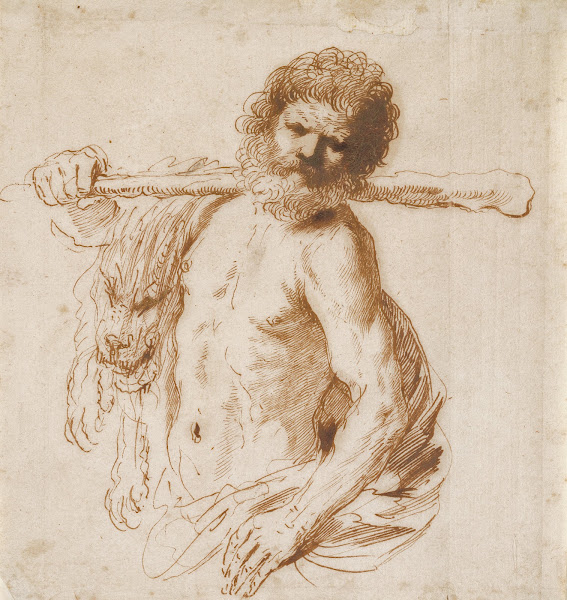 Hercules 164142