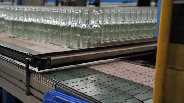 Glass Bottles Moving on Conveyor Belt in Factory Free Download – Envato Elements