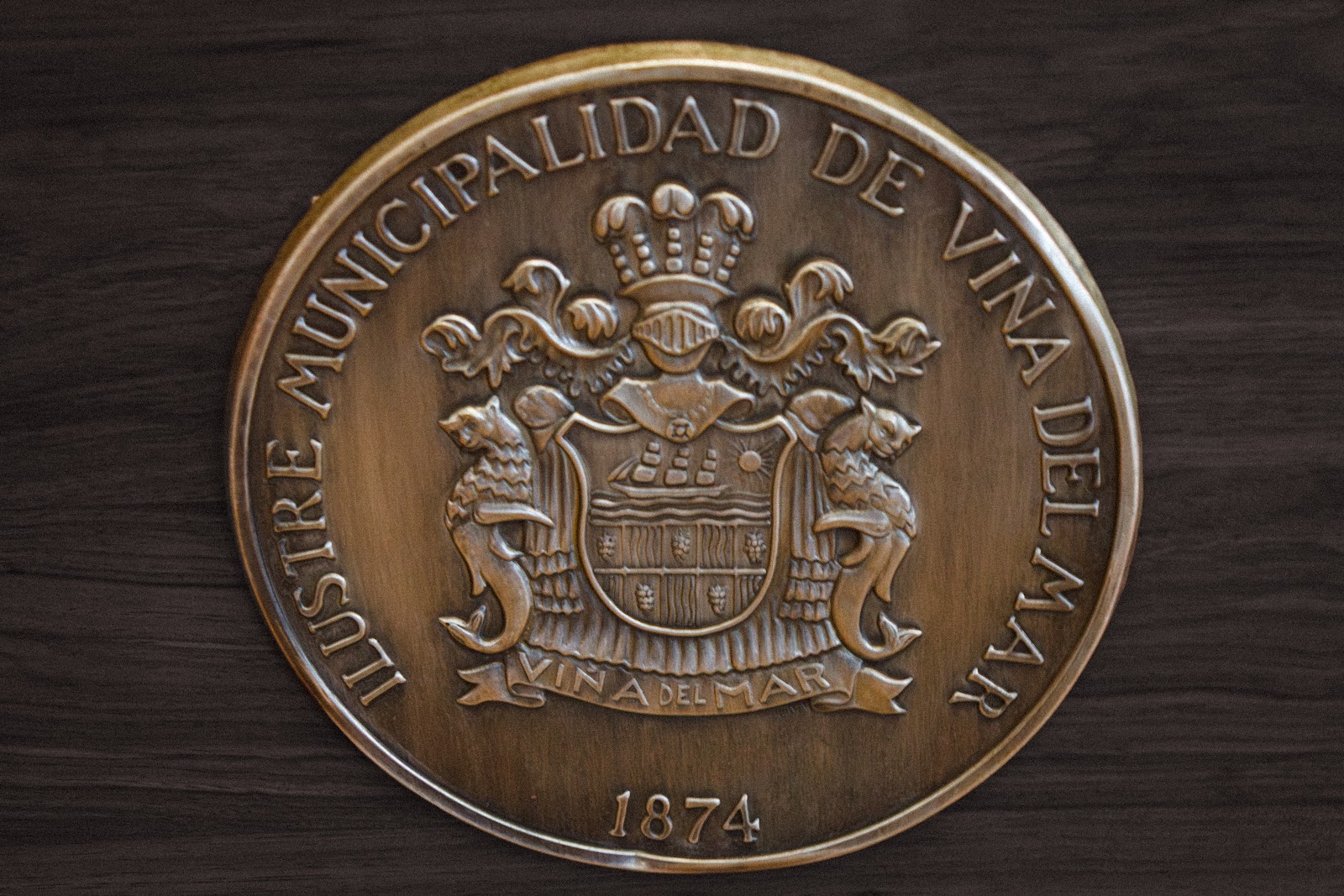 Logo Municipalidad de Viña del Mar